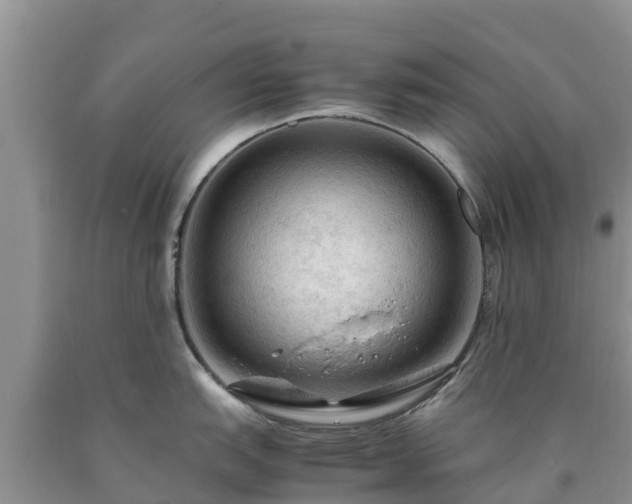 X0000090621151200707241123