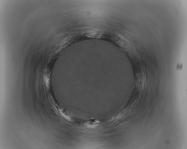X0000090621154200707241122