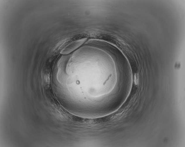 X0000090621155200707241122