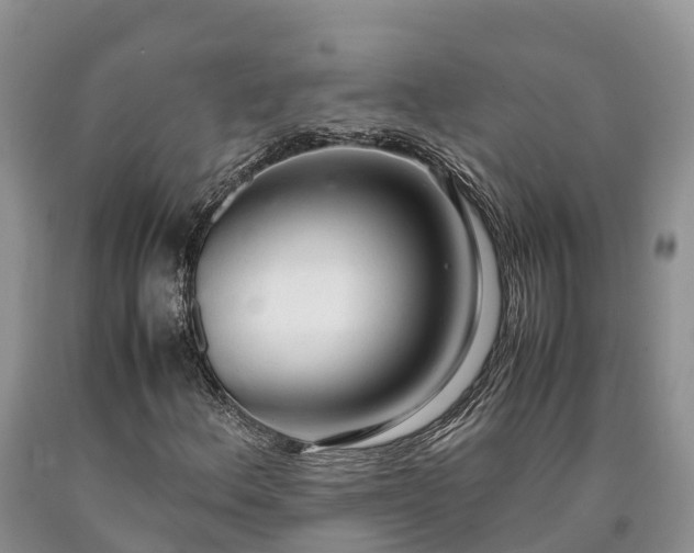 X0000090621156200707241122