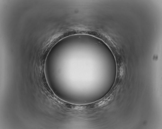 X0000090621157200707241122