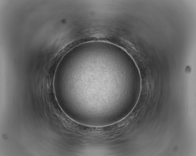 X0000090621158200707241122