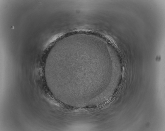 X0000090621159200707241122