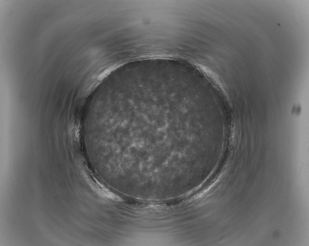 X0000090621161200707241122