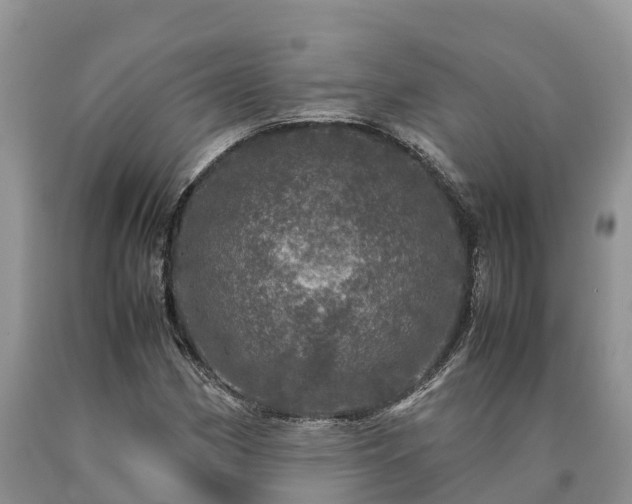 X0000090621162200707241122