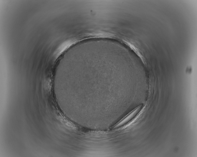 X0000090621163200707241122