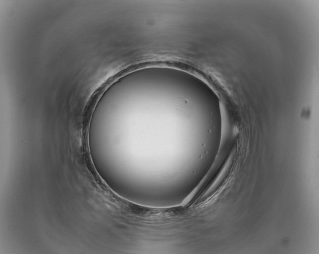 X0000090621165200707241122