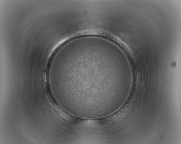 X0000090621166200707241122
