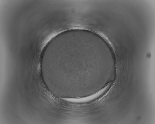 X0000090621167200707241122
