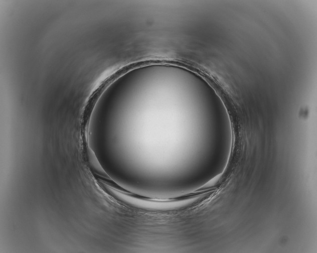 X0000090621168200707241122