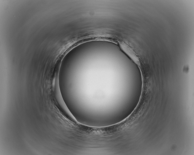 X0000090621169200707241122