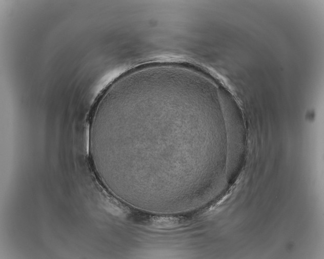 X0000090621171200707241122