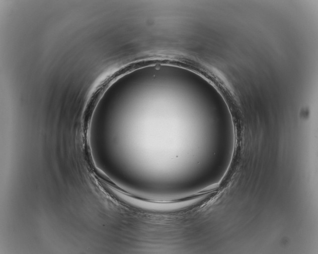 X0000090621172200707241122