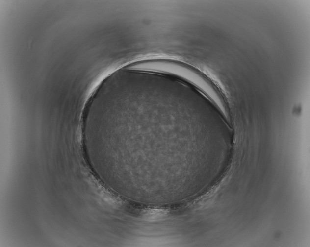 X0000090621173200707241122