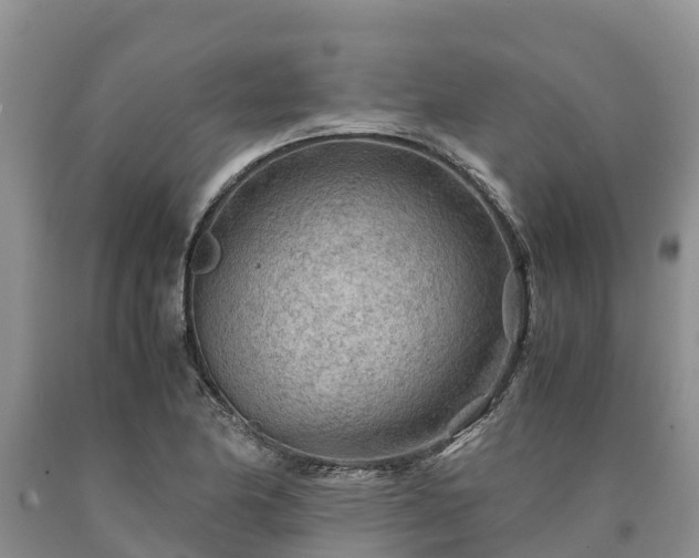 X0000090621174200707241122