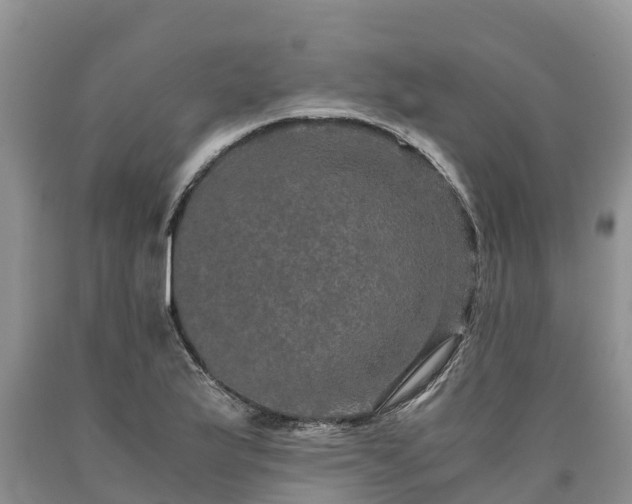 X0000090621175200707241122