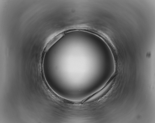 X0000090621176200707241122