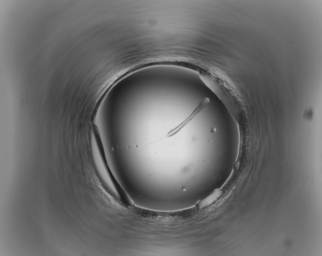 X0000090621177200707241122