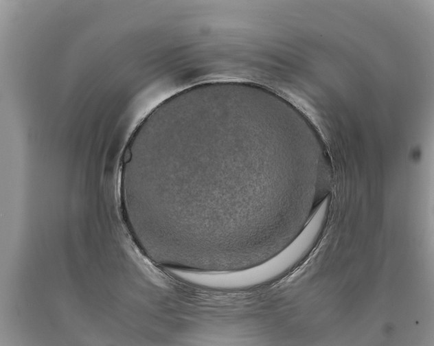 X0000090621179200707241122