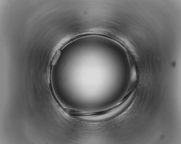 X0000090621180200707241122