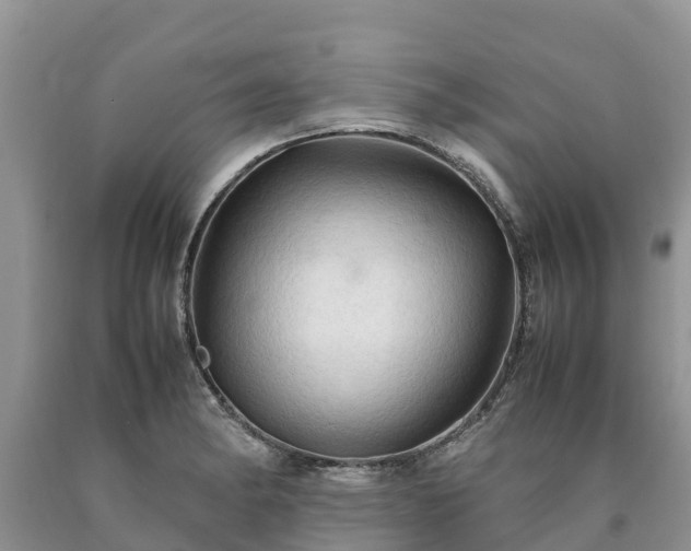 X0000090621182200707241122