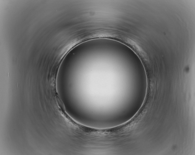 X0000090621185200707241122