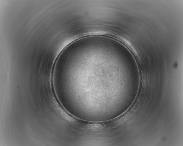 X0000090621186200707241122
