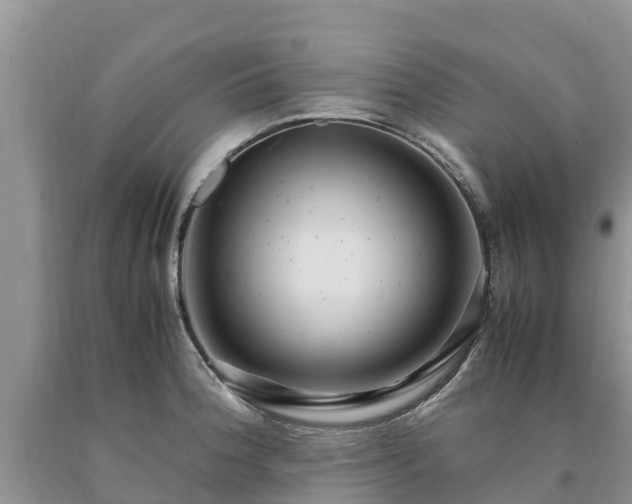 X0000090621188200707241122