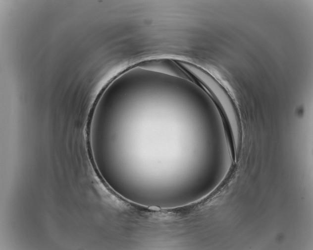 X0000090621189200707241122