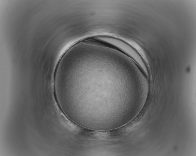 X0000090621191200707241122