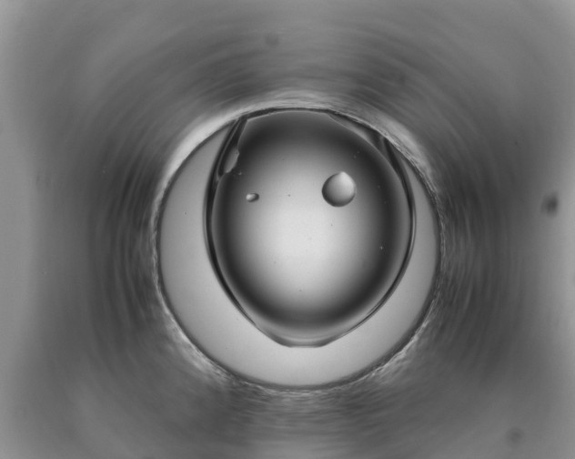 X0000090621192200707241122