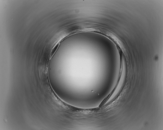 X0000090621193200707241122