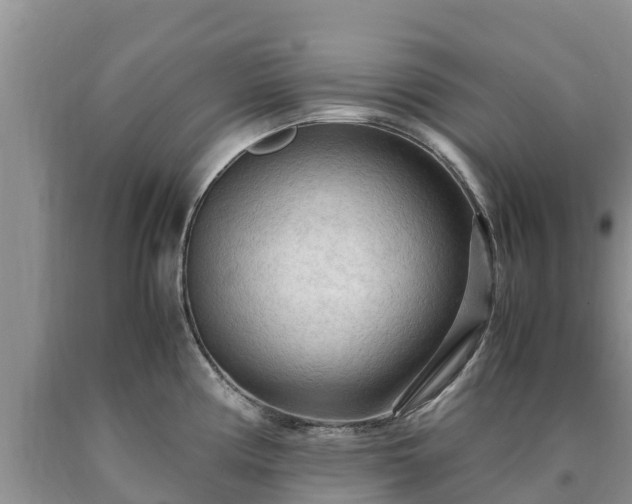 X0000090621194200707241122