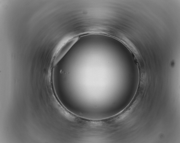 X0000090621196200707241122