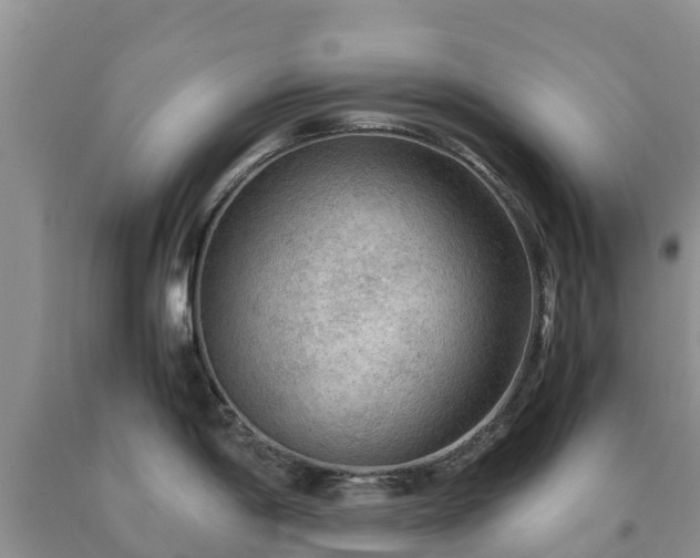 X0000090621198200707241122