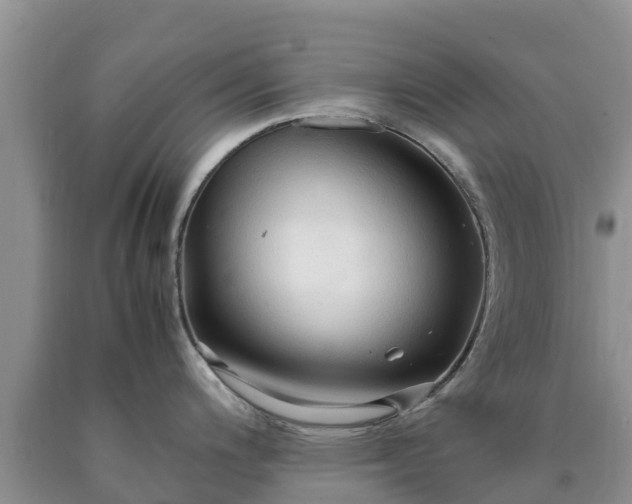 X0000090621200200707241122