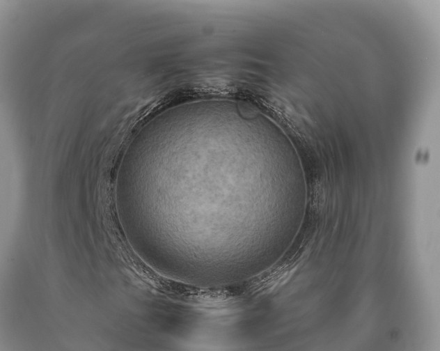 X0000090621201200707241121