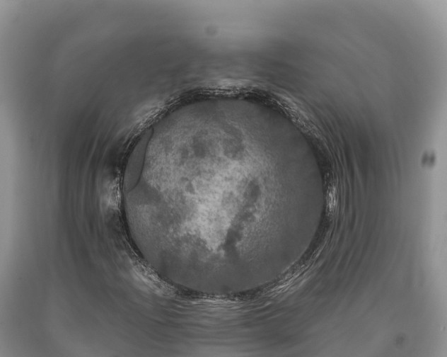 X0000090621204200707241121