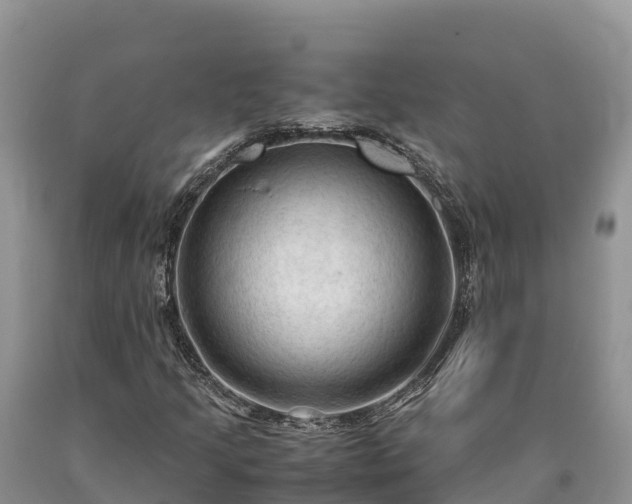 X0000090621205200707241121