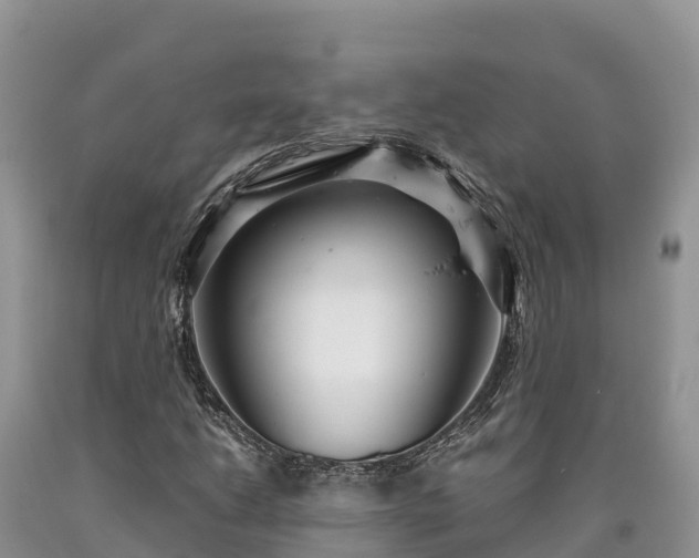 X0000090621206200707241121