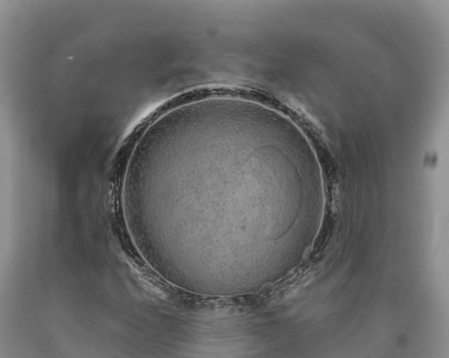 X0000090621208200707241121