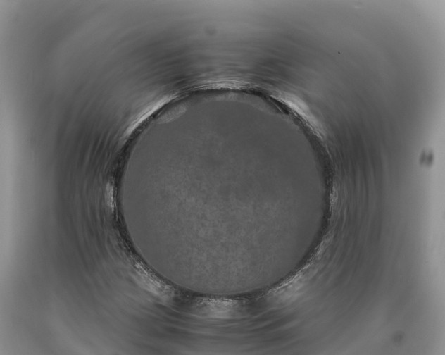 X0000090621209200707241121