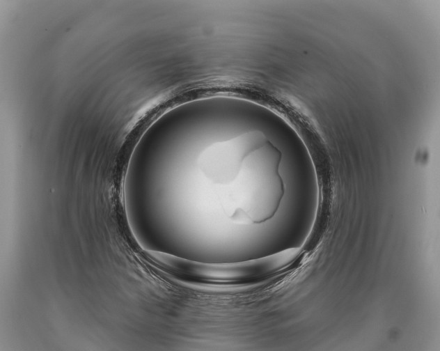 X0000090621210200707241121