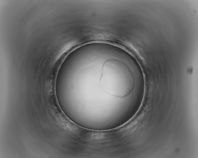 X0000090621211200707241121