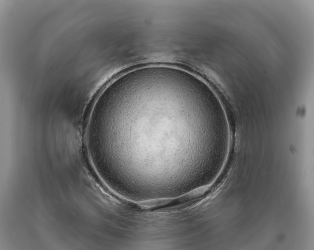 X0000090621212200707241121
