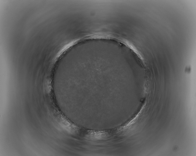 X0000090621213200707241121