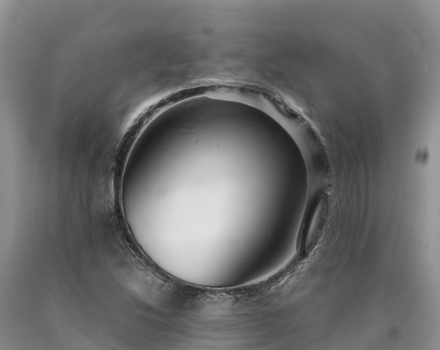 X0000090621214200707241121