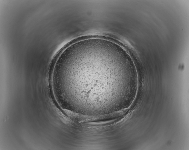X0000090621216200707241121