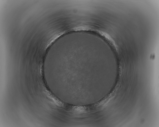 X0000090621217200707241121