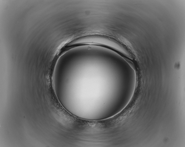 X0000090621218200707241121